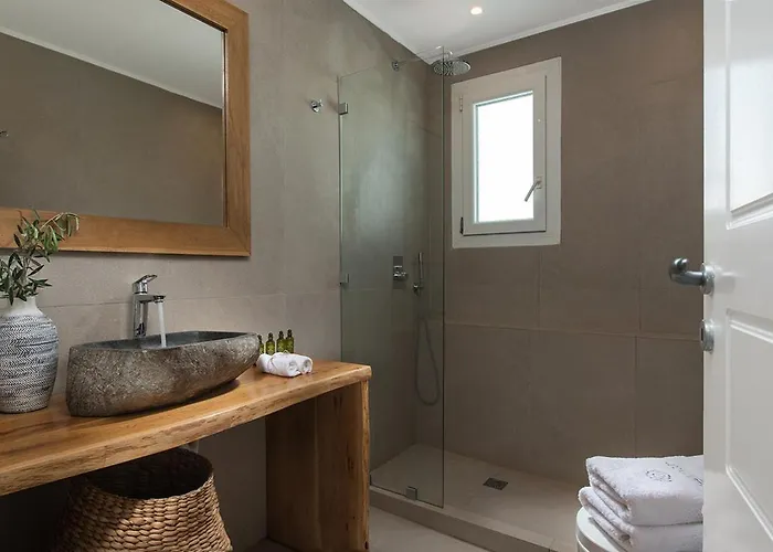 Delmar - Delmar Collection * Pollonia